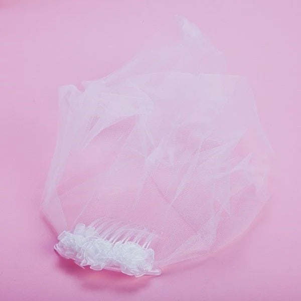 Hens Night Veil With Comb