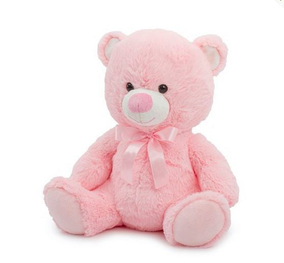 Pale Pink Soft Teddy